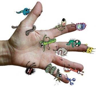microbes and parasites in the human hand