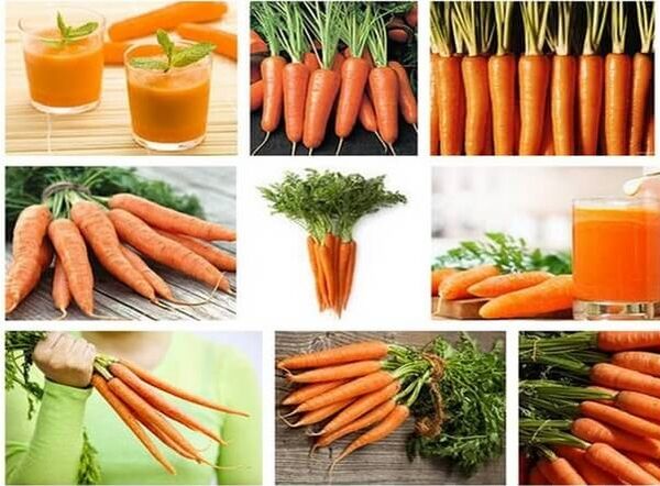 carrots for worms